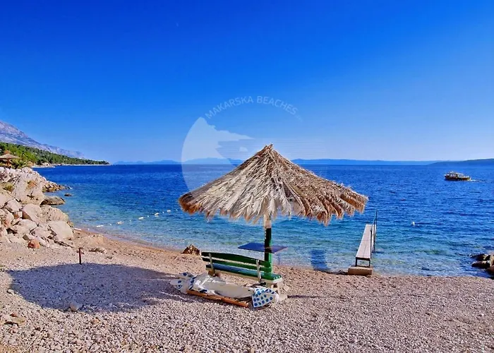 Royal M&m Макарська